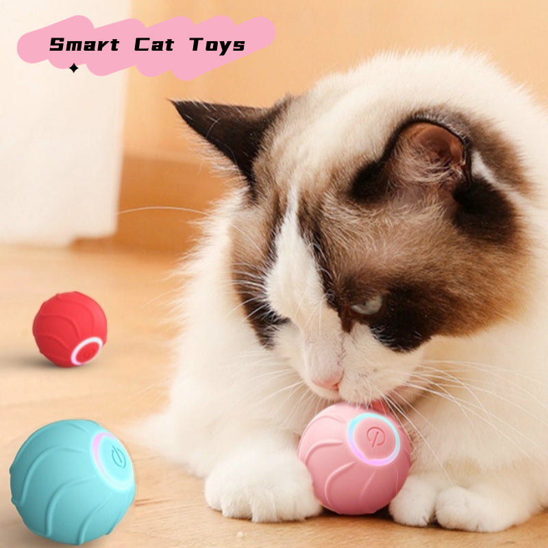 Pet toys