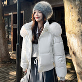 Hooded Large Fur Collar Cotton Short Padded Jacket