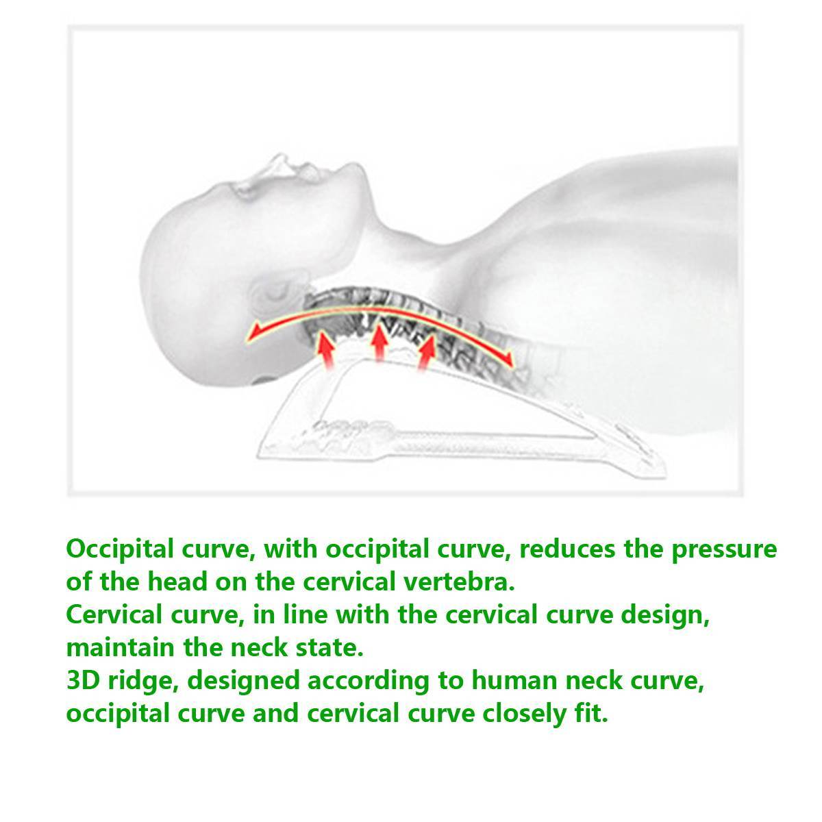 Lumbar Spine And Cervical Spine Stretching Orthosis
