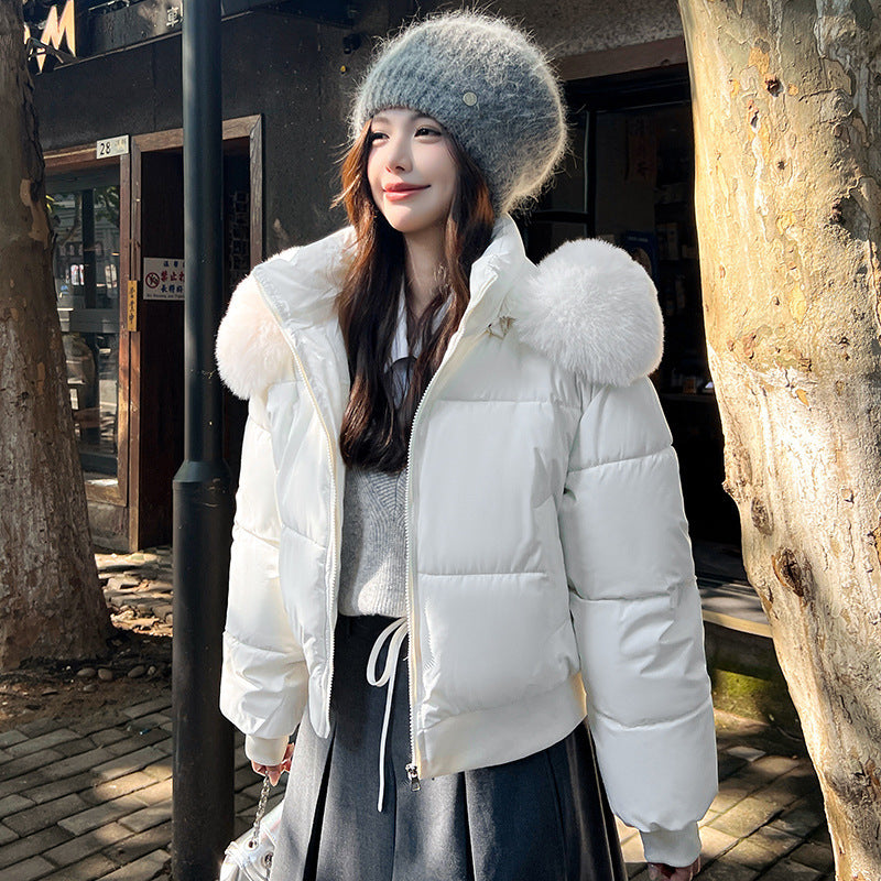 Hooded Large Fur Collar Cotton Short Padded Jacket