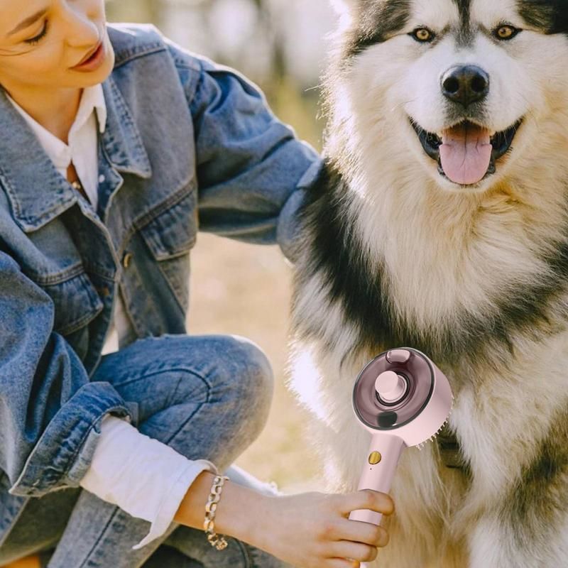 Cat Dog Steamy Brush Pet Spa Brush Dogs Cats Defur Comb Steamy Pet Brushes USB Rechargeable Comb For Long And Short Hair